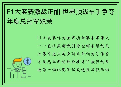 F1大奖赛激战正酣 世界顶级车手争夺年度总冠军殊荣